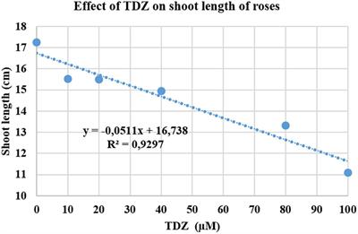 A Cytokinin Analog Thidiazuron Suppresses Shoot Growth in Potted Rose Plants via the Gibberellic Acid Pathway